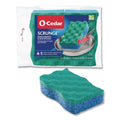 Scrunge Non-scratch Scrub Sponge, 2.63 X 4.25, 1 Thick, Green/blue, 2/pack
