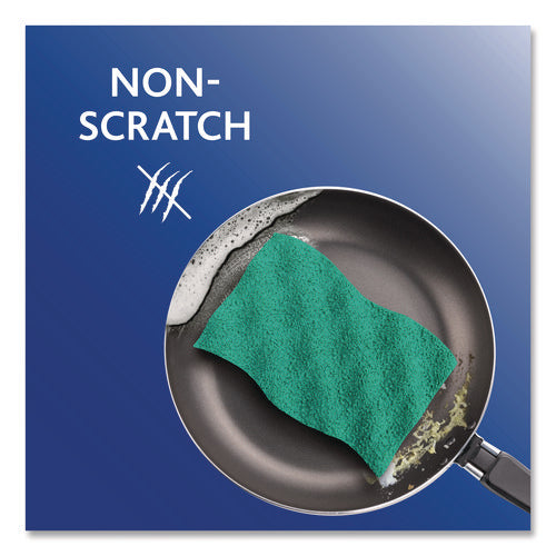Scrunge Non-scratch Scrub Sponge, 2.63 X 4.25, 1 Thick, Green/blue, 2/pack