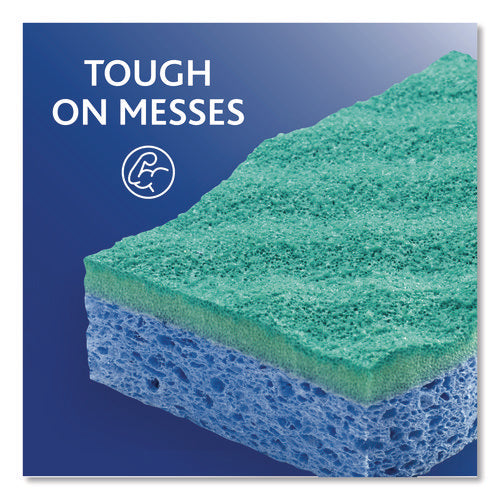 Scrunge Non-scratch Scrub Sponge, 2.63 X 4.25, 1 Thick, Green/blue, 2/pack