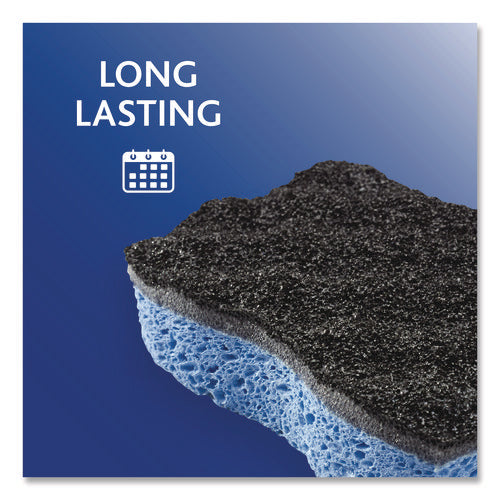 Scrunge Heavy-duty Sponge, 2.63 X 4.25, 1 Thick, Black/blue, 2/pack, 8 Packs/carton
